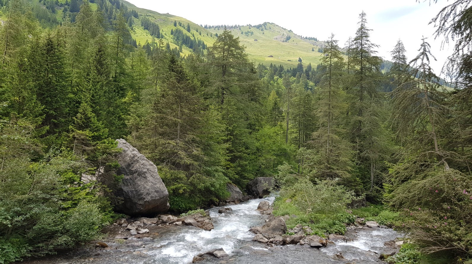 Balade facile famille Oberland Bernois Balade facile famille Oberland Bernois