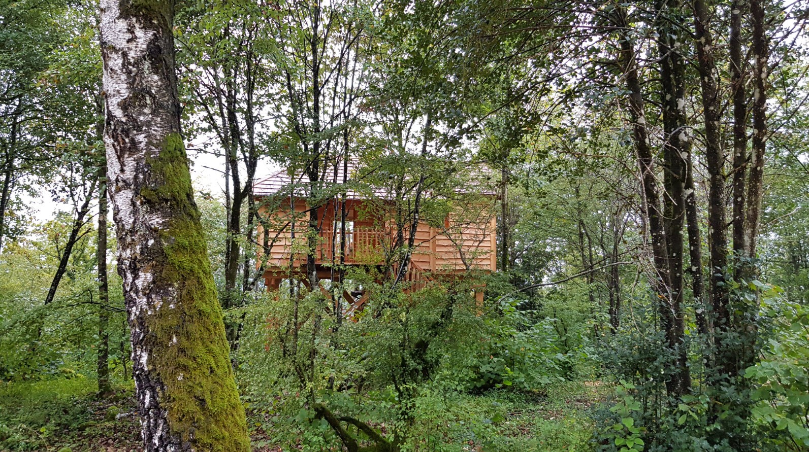 Cabane Mesange Cabane Mesange