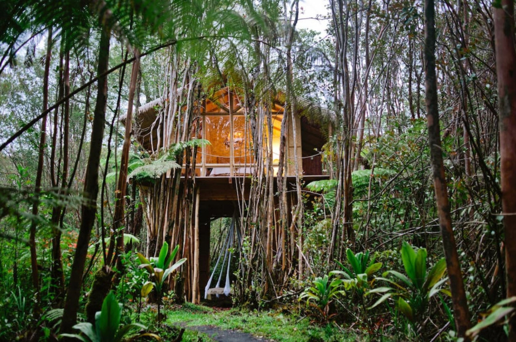 Tropical Tree House