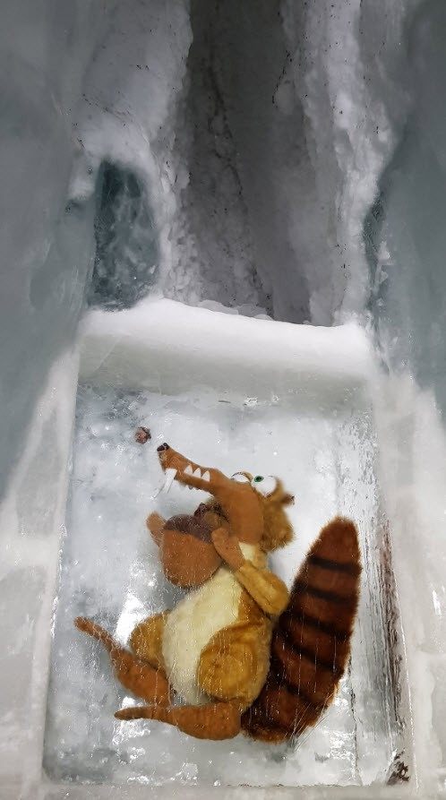 Grotte glace Jungfrau Grotte glace Jungfrau