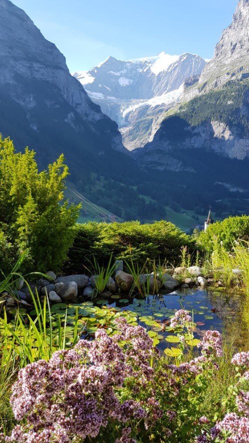 Hotel face glacier et montagne Grindelwald Hotel face glacier et montagne Grindelwald