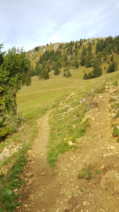 Balade facile Canton Vaud Balade facile Canton Vaud