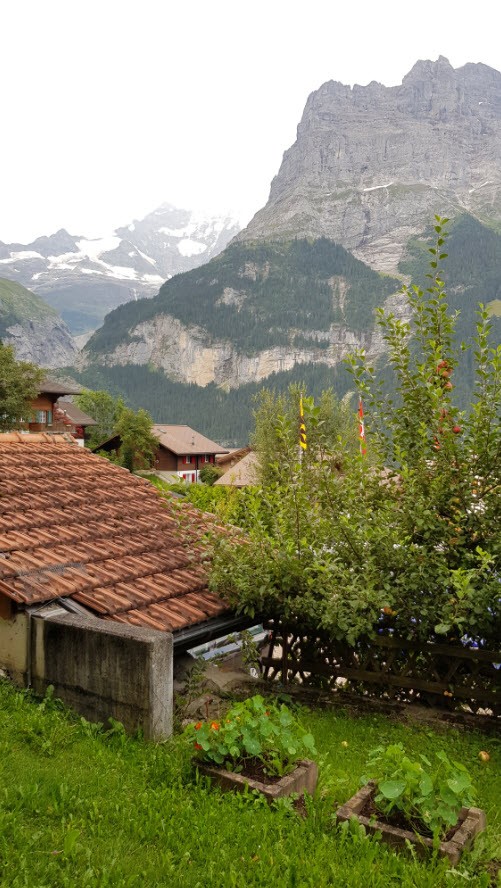 Hotel Alpenhof Hotel Alpenhof