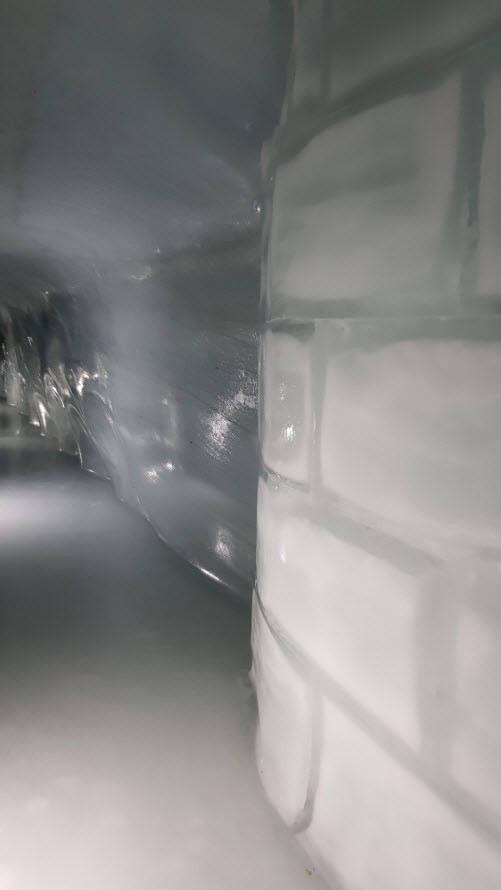 Grotte glace Jungfrau Grotte glace Jungfrau