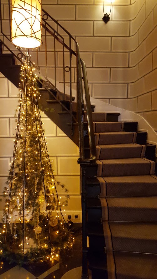 Sapin Sapin