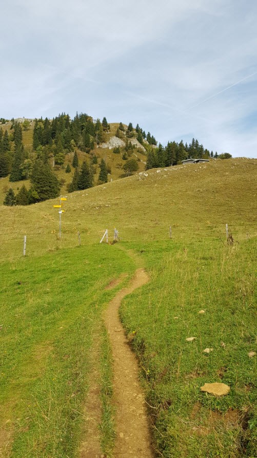 Balade facile Canton Vaud Balade facile Canton Vaud