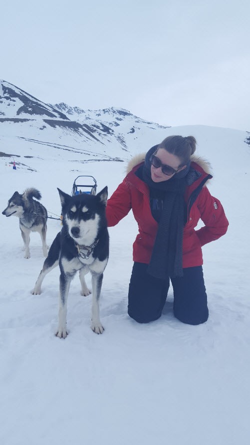 Mes chiens et moi Mes chiens et moi