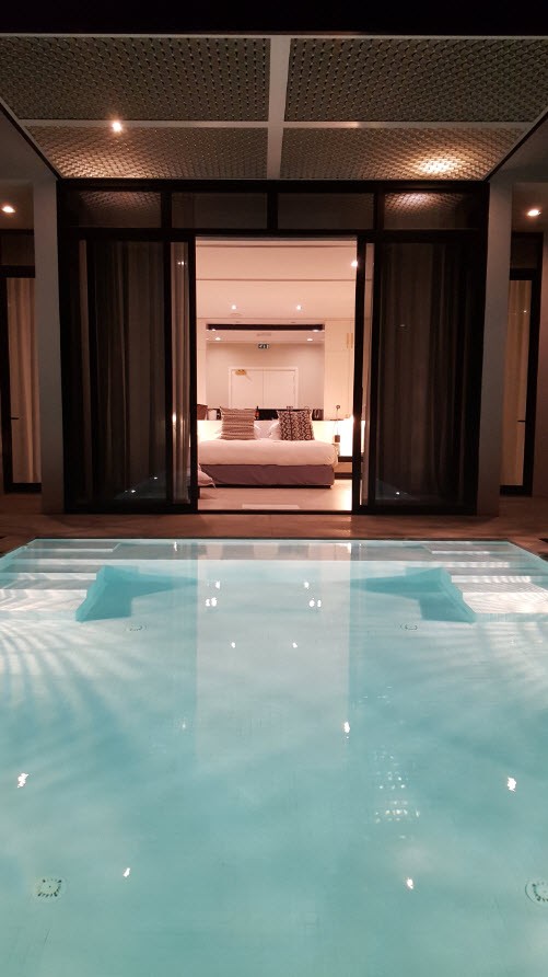 Vue depuis la piscine Vue depuis la piscine