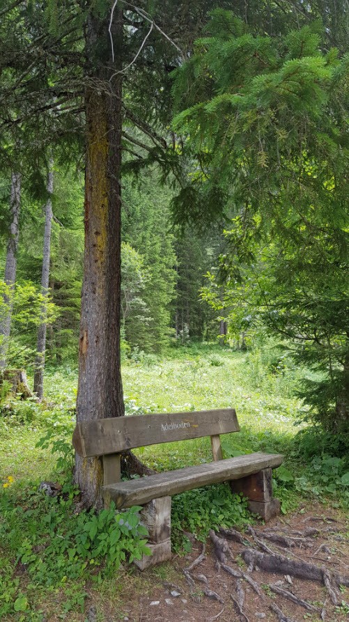 Balade facile famille Adelboden Balade facile famille Adelboden