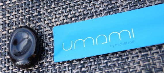Umami Michel Roth President Wilson 42 Umami Michel Roth President Wilson 42