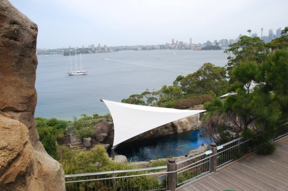 Taronga Zoo 19 Taronga Zoo 19