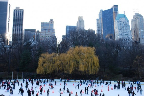 Central Park New York (7) Central Park New York (7)