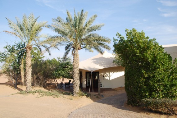 Al Maha resort Dubai 05 Al Maha resort Dubai 05
