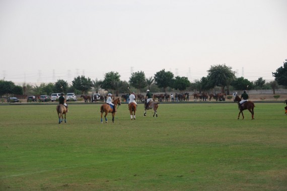 Polo Club Dubai 24 Polo Club Dubai 24