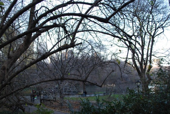 Central Park New York (2) Central Park New York (2)