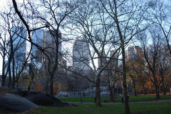 Central Park New York (9) Central Park New York (9)