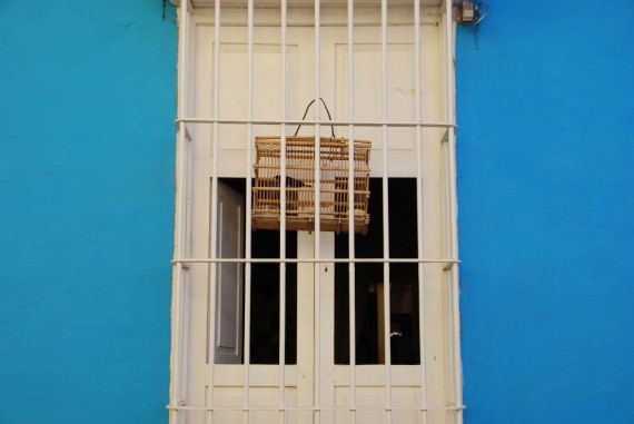 Oiseaux maisons Cuba (1) Oiseaux maisons Cuba (1)