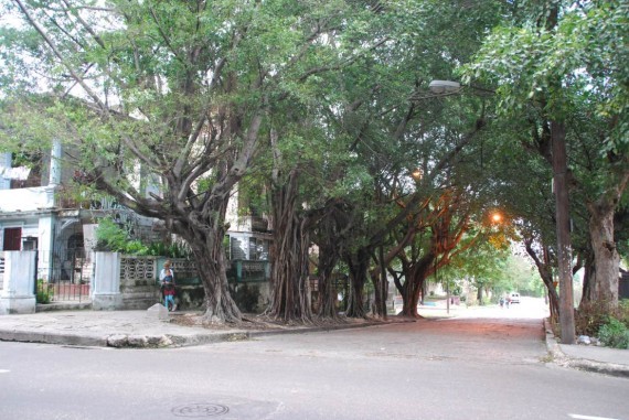 Quartiers Université Vedado La Havane (41) Quartiers Université Vedado La Havane (41)