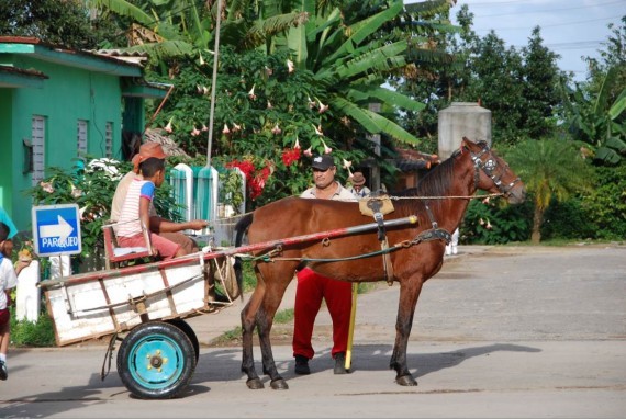 Moyens transport Cuba (10) Moyens transport Cuba (10)
