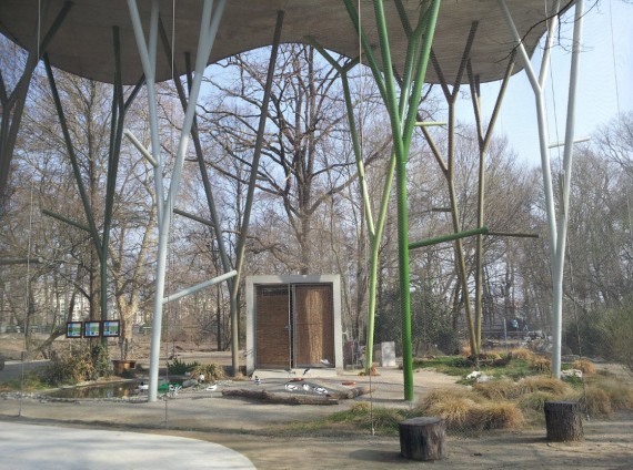 Bois de la Bâtie Genève (9) Bois de la Bâtie Genève (9)