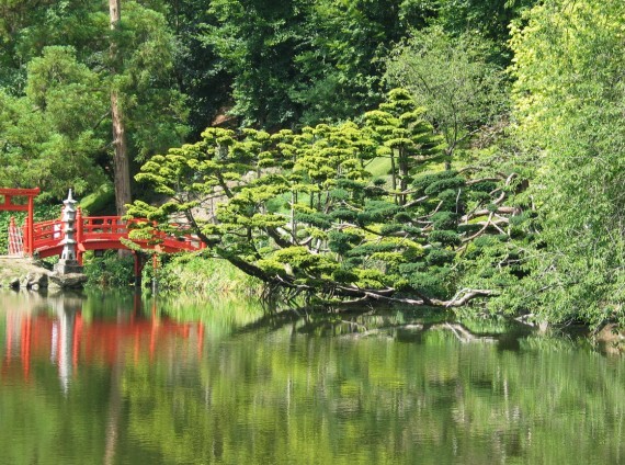 Maulévrier parc oriental 11 Maulévrier parc oriental 11