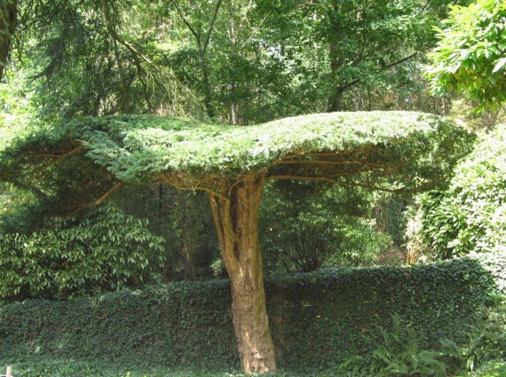 Maulévrier parc oriental 13 Maulévrier parc oriental 13