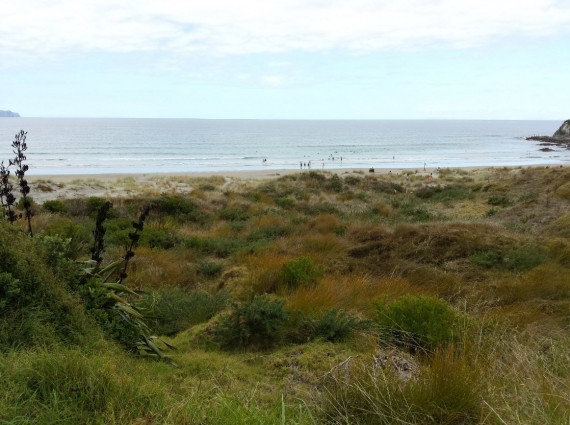 Mangawhai 06 Mangawhai 06