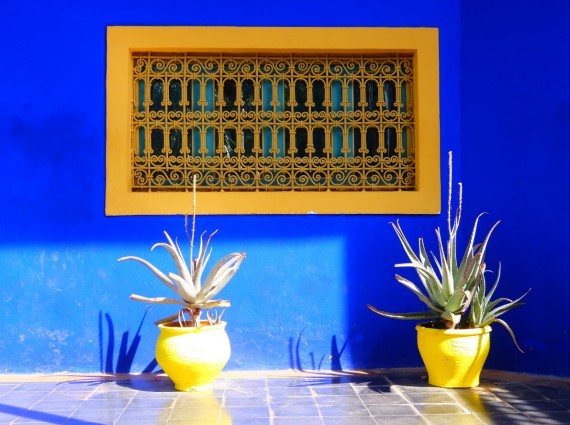 Jardin Majorelle (3) Jardin Majorelle (3)