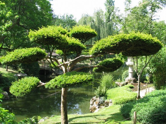 Maulévrier parc oriental 08 Maulévrier parc oriental 08