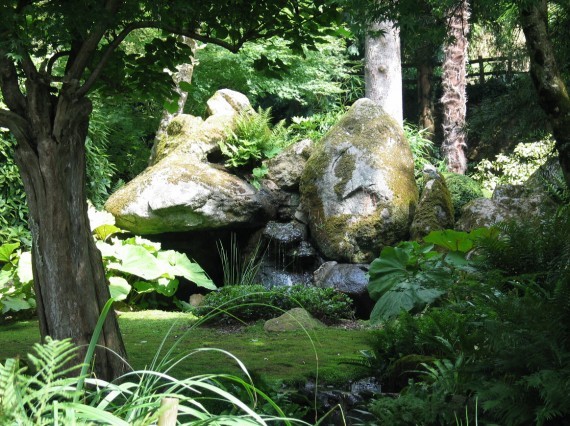 Maulévrier parc oriental 09 Maulévrier parc oriental 09