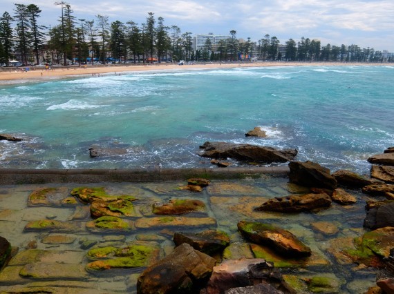 Manly 13 Manly 13