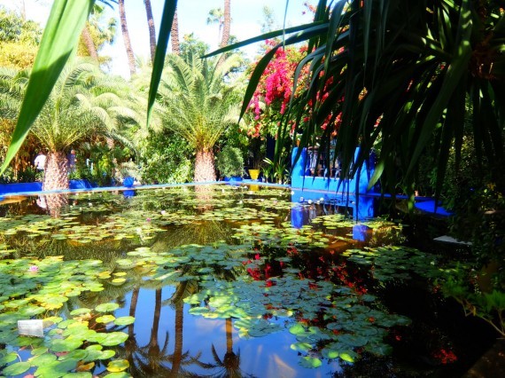 Jardin Majorelle (1) Jardin Majorelle (1)