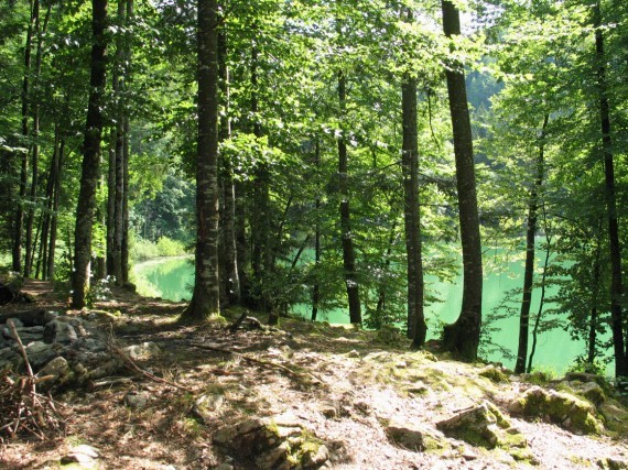 France cet été 02 France cet été 02