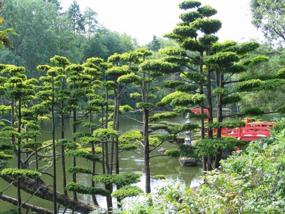 Maulévrier parc oriental 18 Maulévrier parc oriental 18