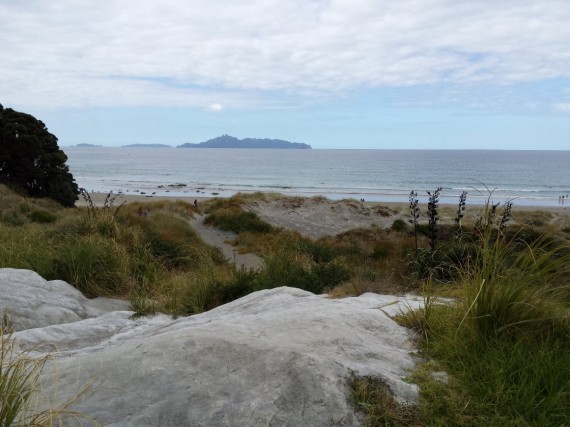 Mangawhai 05 Mangawhai 05