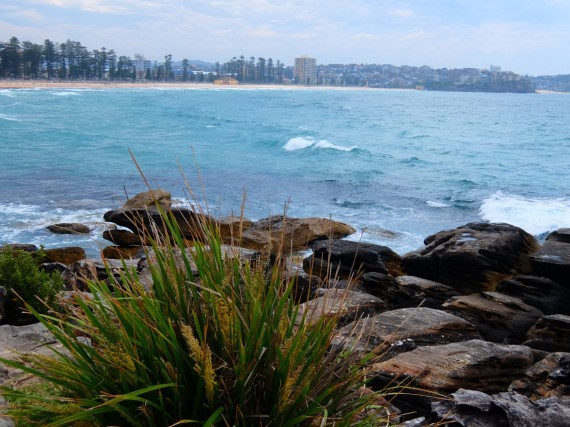 Manly 11 Manly 11