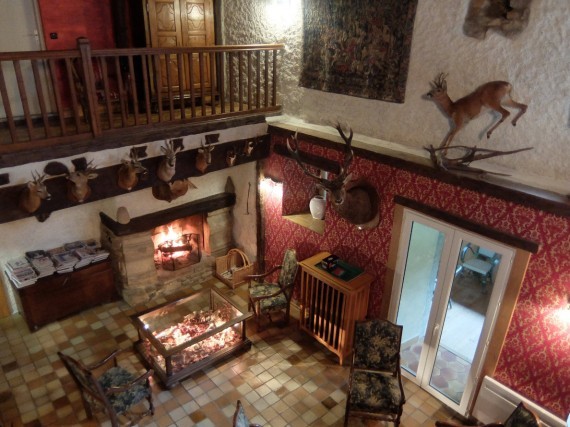Castel Damandre (5) Castel Damandre (5)