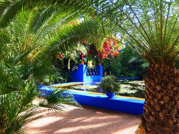 Jardin Majorelle (13) Jardin Majorelle (13)