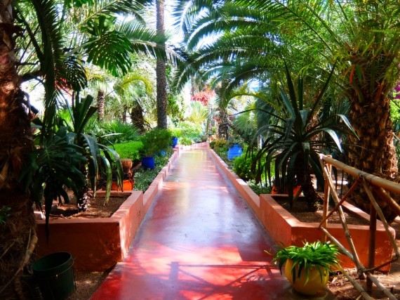Jardin Majorelle (15) Jardin Majorelle (15)