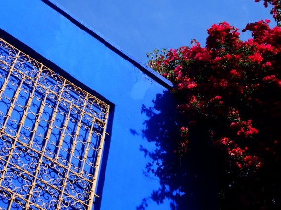 Jardin Majorelle (4) Jardin Majorelle (4)