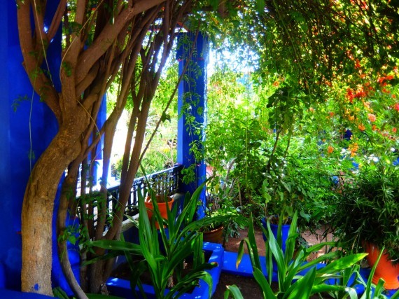 Jardin Majorelle (9) Jardin Majorelle (9)