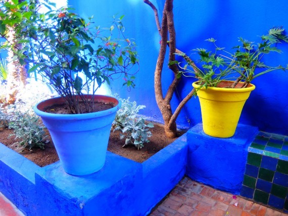 Jardin Majorelle (5) Jardin Majorelle (5)
