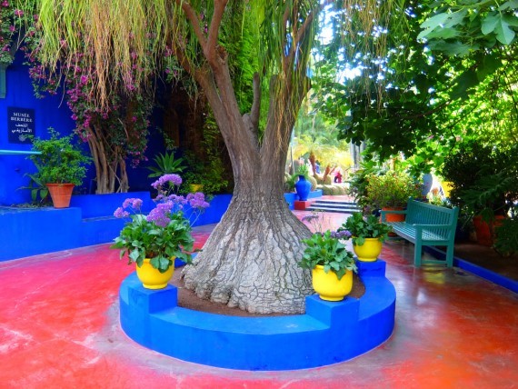Jardin Majorelle (8) Jardin Majorelle (8)