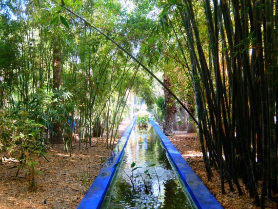 Jardin Majorelle (16) Jardin Majorelle (16)