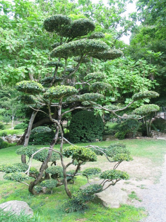 Maulévrier parc oriental 05 Maulévrier parc oriental 05