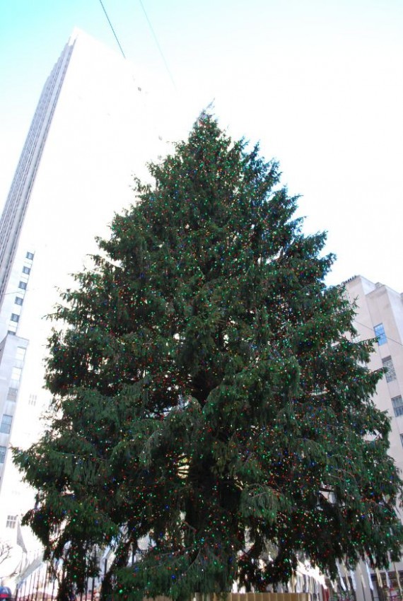 Around Rockfeller Center (8) Around Rockfeller Center (8)