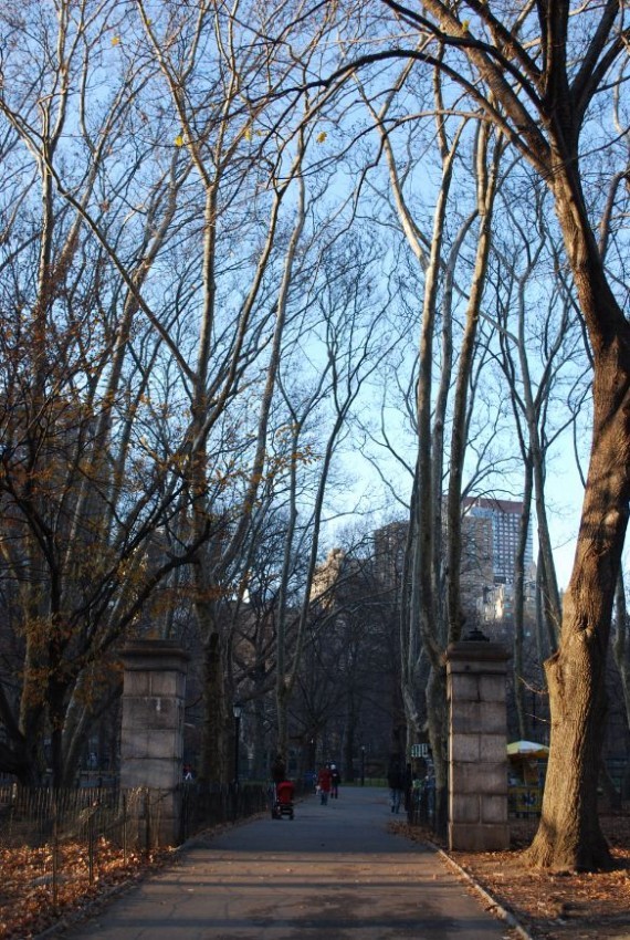 Central Park New York (10) Central Park New York (10)