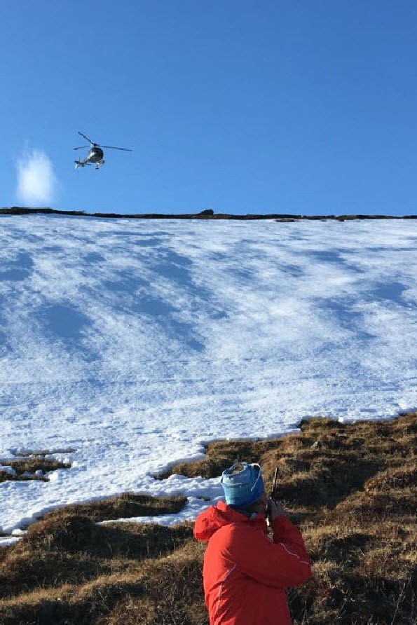 Suede heliski Suede heliski