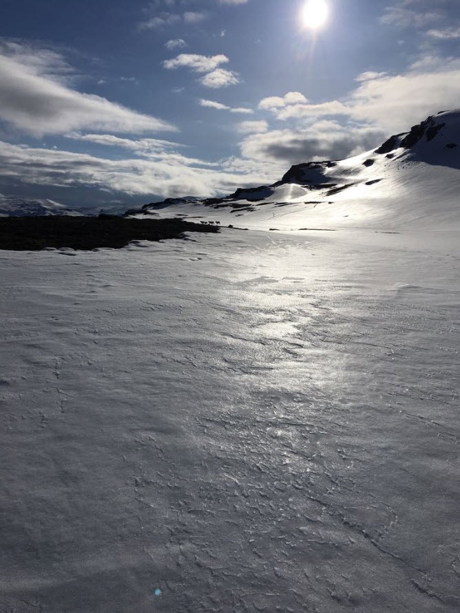 Heliski Riksgransen Heliski Riksgransen