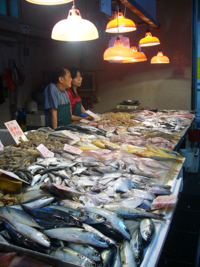 Marche des poissons Marche des poissons
